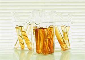 2025年版 矯正歯科の選び方と博多でのおすすめクリニック完全ガイド