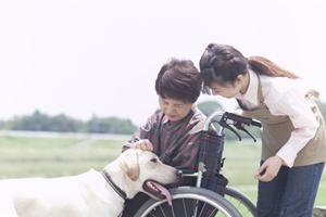 東広島市で信頼できる消化器内科を選ぶポイントと検査・治療の最新情報