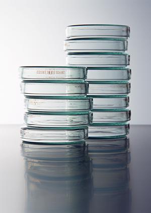 阿佐ヶ谷の歯医者｜2026年最新の選び方とおすすめ医院完全ガイド